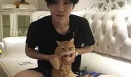 鹿晗跑车爆料视频播放,速度与激情的视觉盛宴